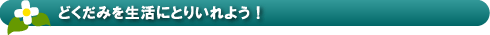 どくだみを生活にとりいれよう！