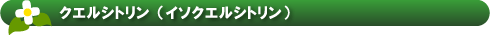 クエルシトリン（イソクエルシトリン）