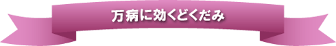 万病に効くどくだみ