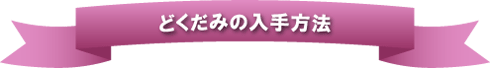 どくだみの入手方法
