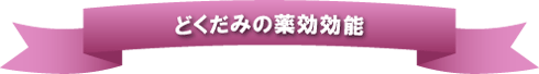 どくだみの薬効効能
